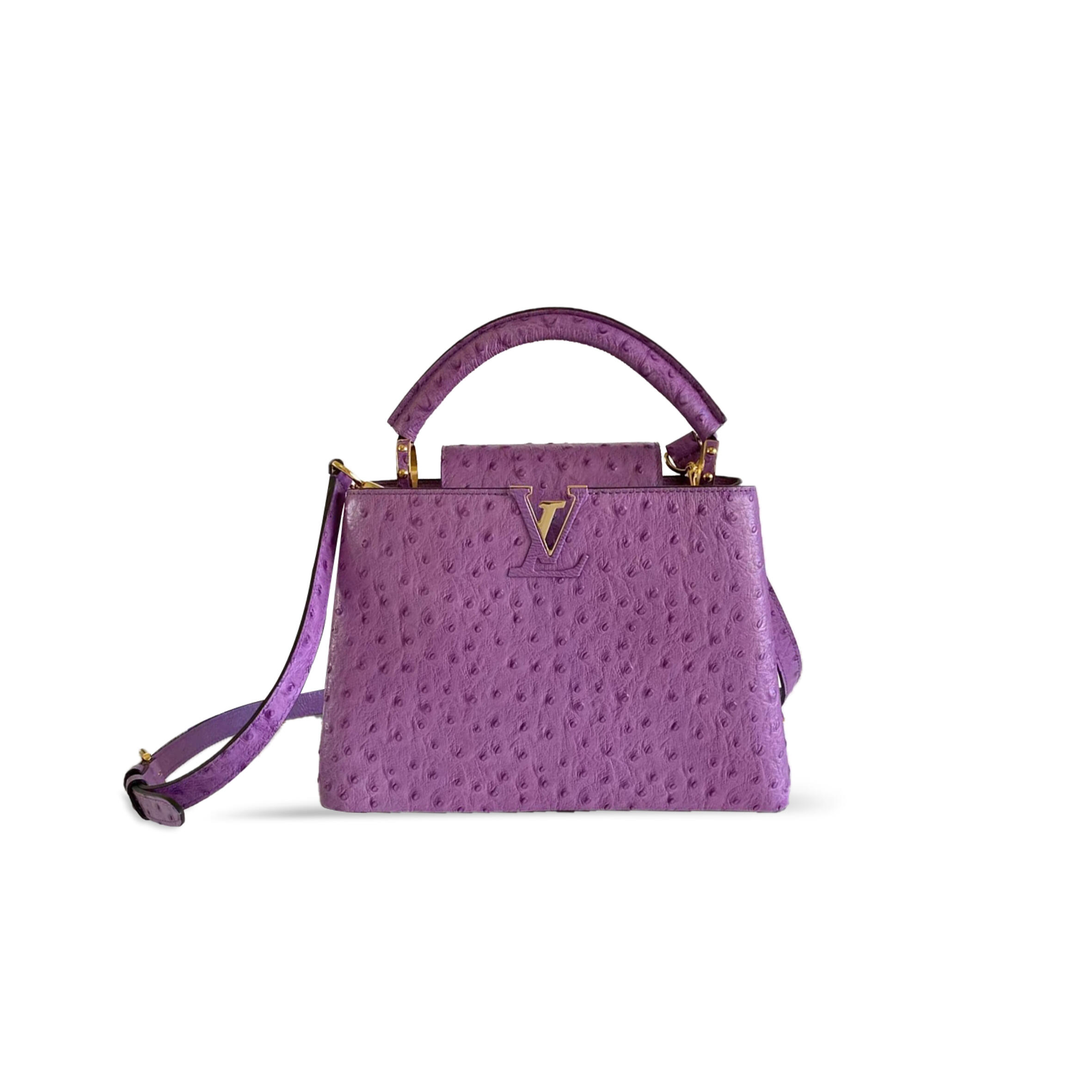 LOUIS VUITTON CAPUCINES BB N89012 (27*18*9cm)